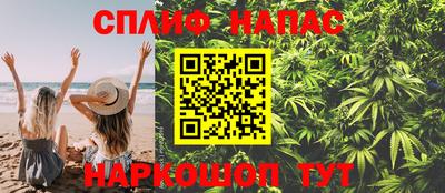 гидра Беслан