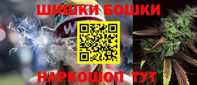 гидра Беслан