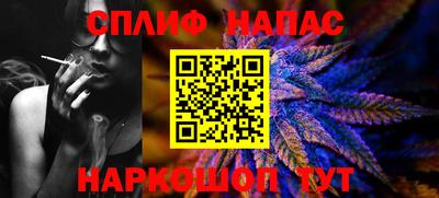 гидра Беслан