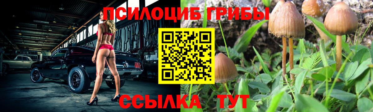 Галлюциногенные грибы MAGIC MUSHROOMS  Урюпинск 