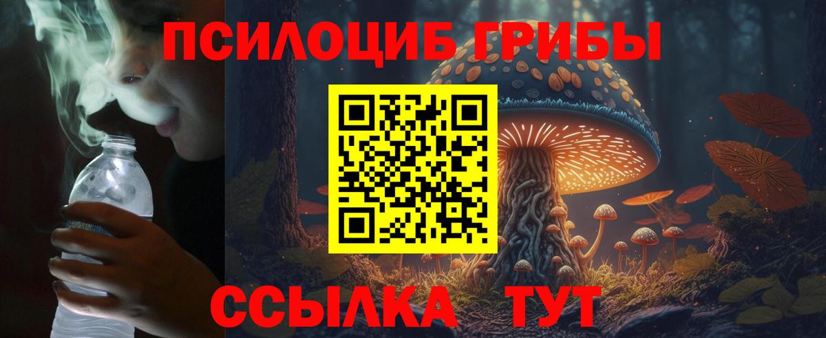 Урюпинск  Галлюциногенные грибы прущие грибы  Вход с VPN 