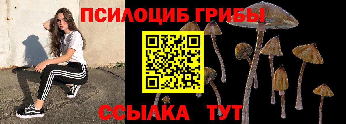 Галлюциногенные грибы GOLDEN TEACHER Урюпинск
